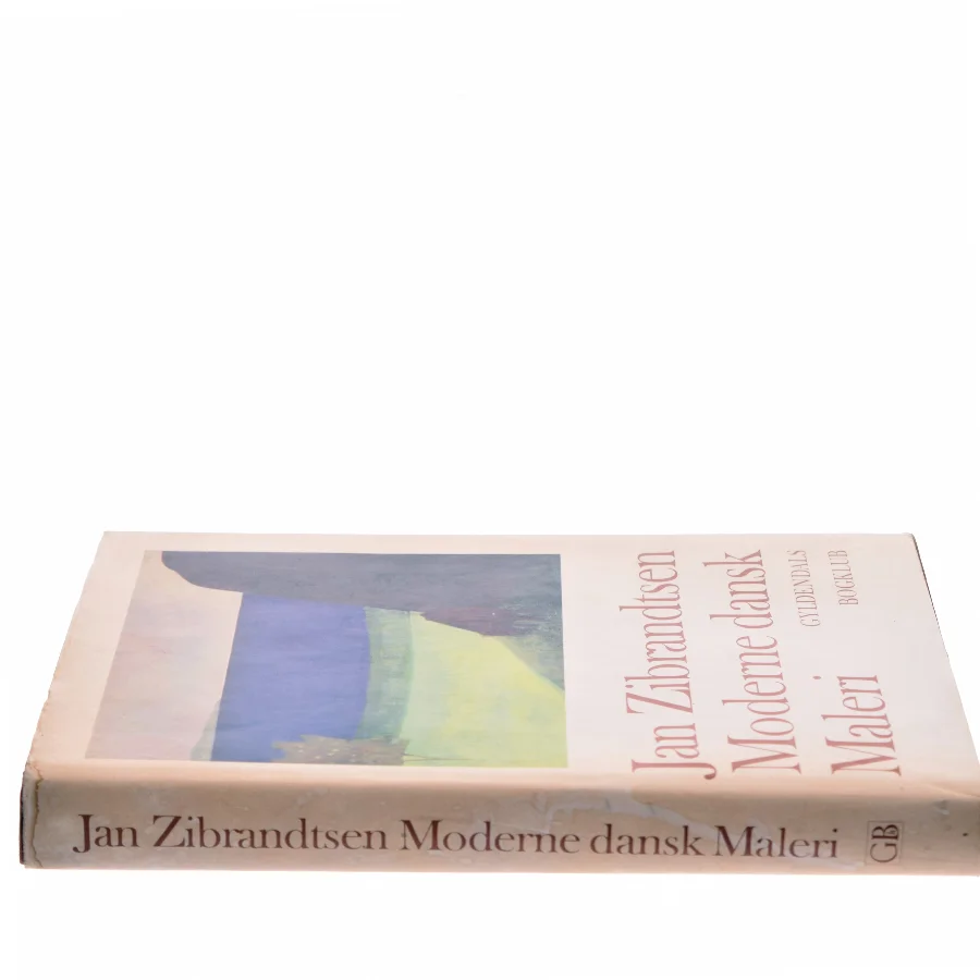 Moderne dansk Maleri af Jan Zibrandtsen (Bog)