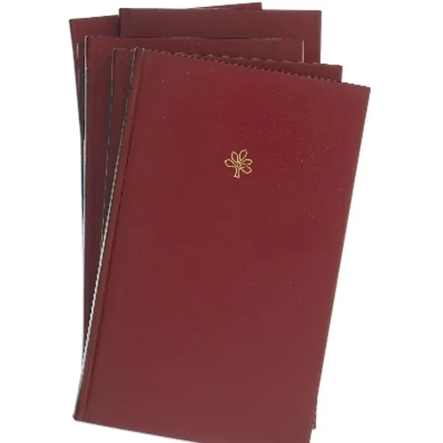 Jammers Minde af Leonora Christina (Bog)