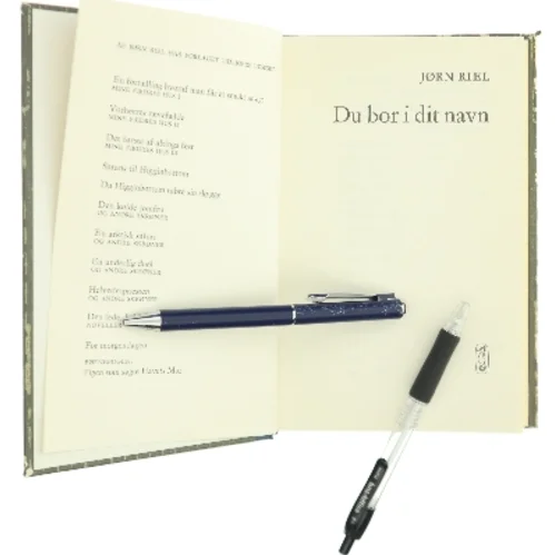 Du bor i dit navn af Jørn Riel (Bog)