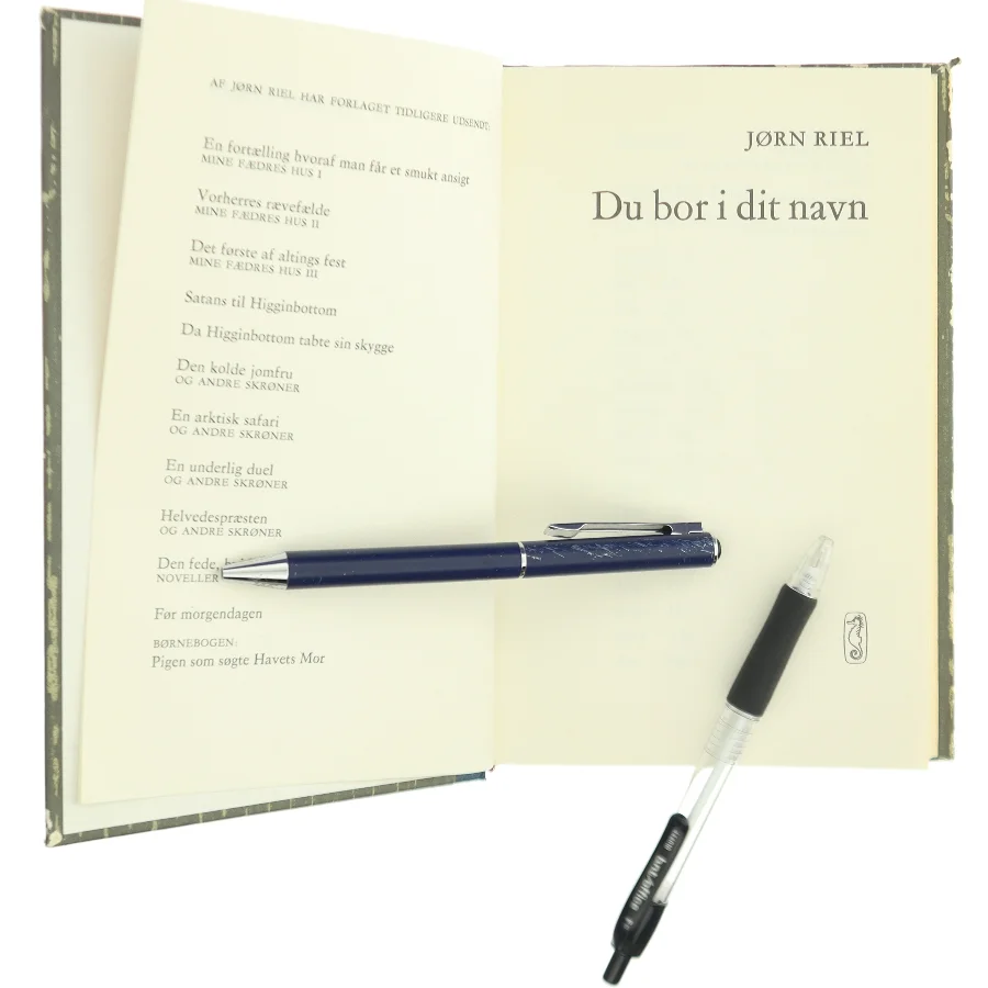 Du bor i dit navn af Jørn Riel (Bog)