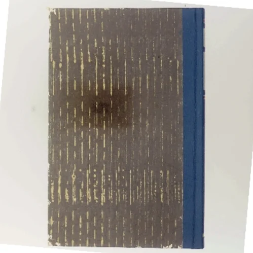 Du bor i dit navn af Jørn Riel (Bog)