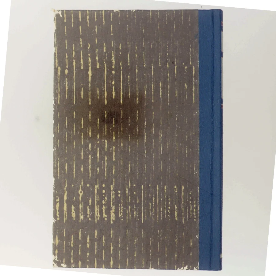 Du bor i dit navn af Jørn Riel (Bog)