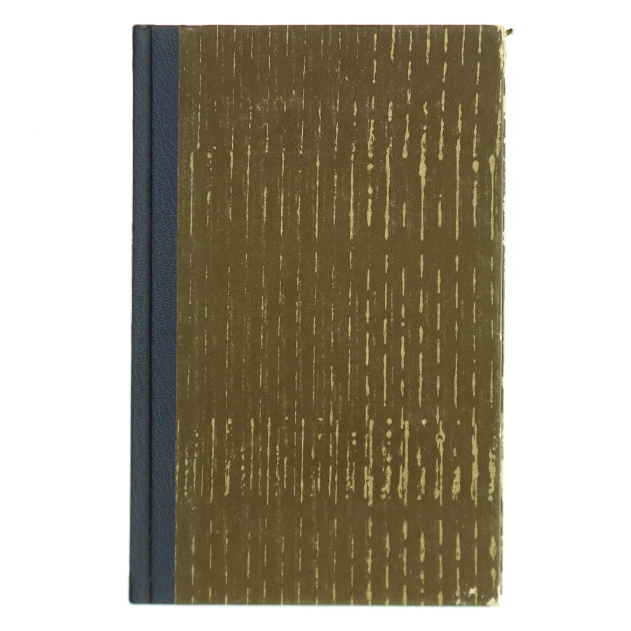 Du bor i dit navn af Jørn Riel (Bog)