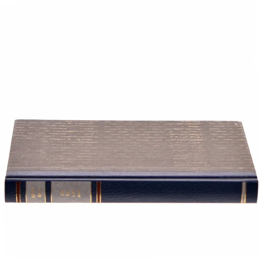 Du bor i dit navn af Jørn Riel (Bog)