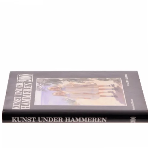 Kunst Under Hammeren 2000 af Preben Juul Madsen (Bog)