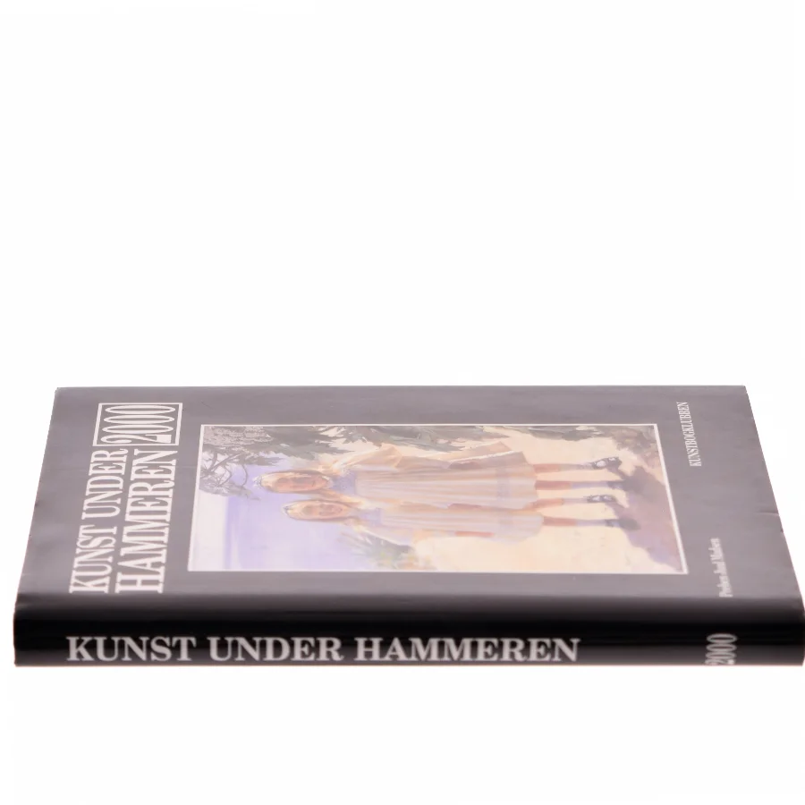 Kunst Under Hammeren 2000 af Preben Juul Madsen (Bog)
