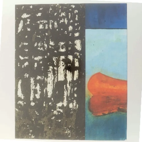 Peter Doig af Peter Doig (Bog)