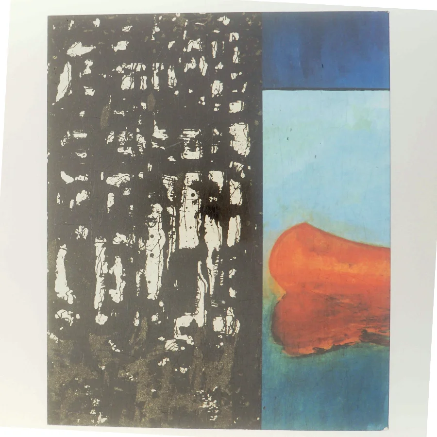 Peter Doig af Peter Doig (Bog)