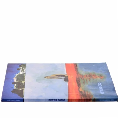 Peter Doig af Peter Doig (Bog)