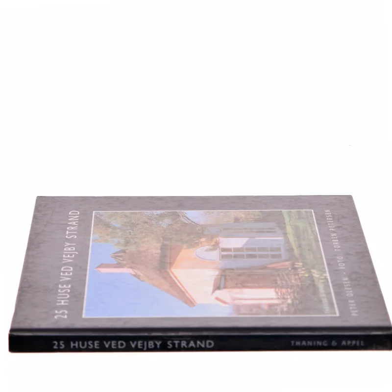 25 huse ved Vejby Strand. 2 af Peter Olesen (Bog)