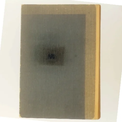 Øst for Paradis af John Steinbeck (Bog)