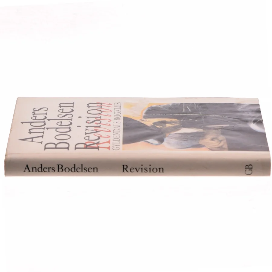 Revision af Anders Bodelsen (Bog)