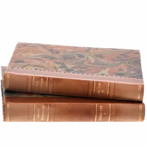 Lykke Per af Henrik Pontoppidan (Bog)