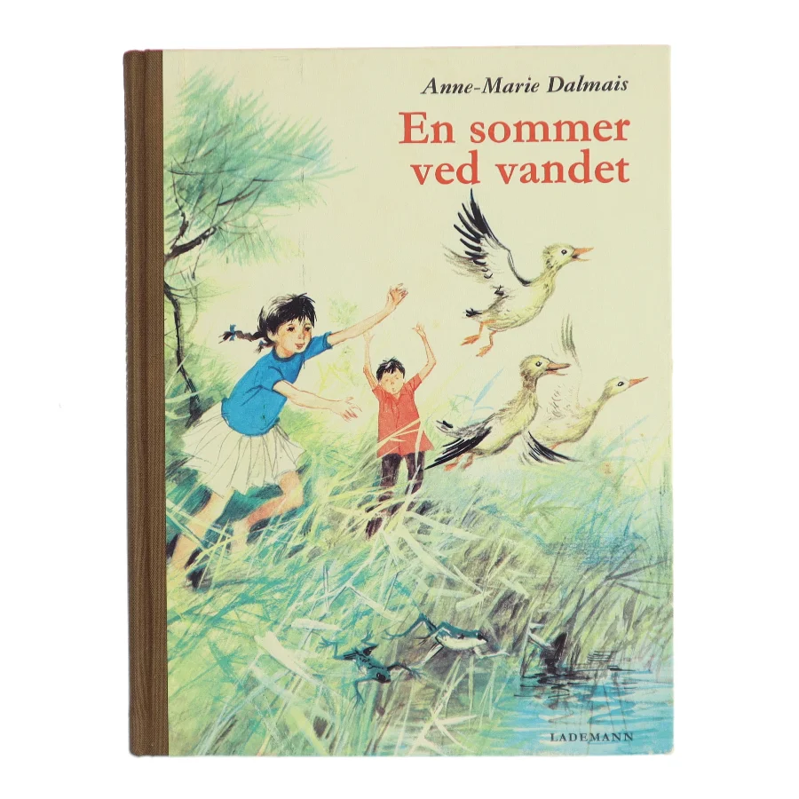 En sommer ved vandet af Anne-Marie Dalmais (Bog)