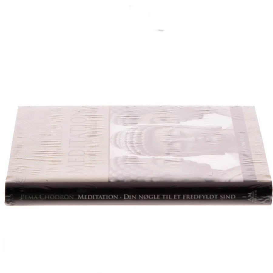 Meditation : din nøgle til et fredfyldt sind af Pema Chödrön (Bog)