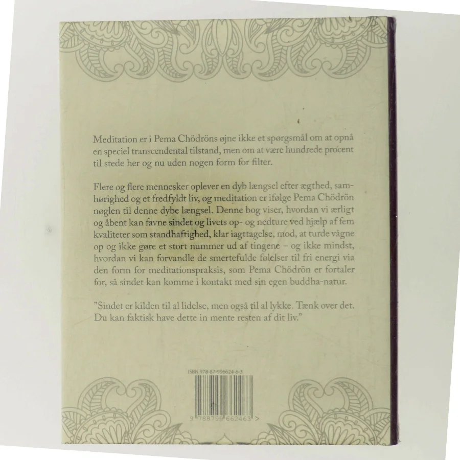 Meditation : din nøgle til et fredfyldt sind af Pema Chödrön (Bog)