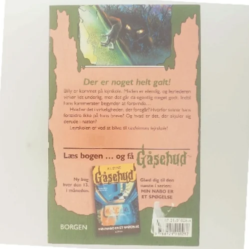 Rædslernes lejrskole af R. L. Stine (Bog)