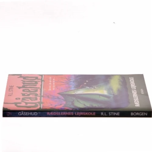 Rædslernes lejrskole af R. L. Stine (Bog)