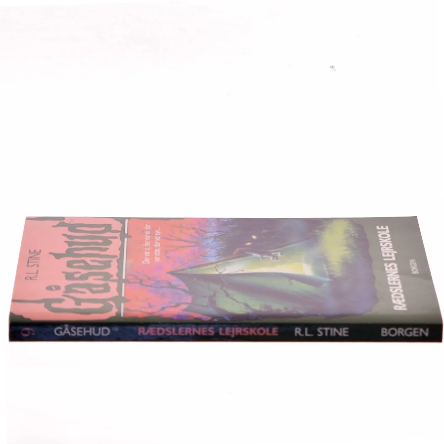 Rædslernes lejrskole af R. L. Stine (Bog)