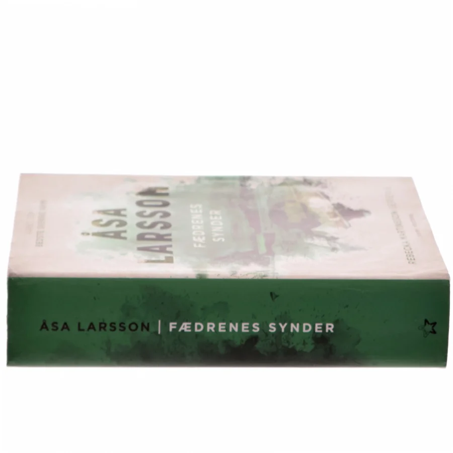Fædrenes synder af Åsa Larsson (Bog)
