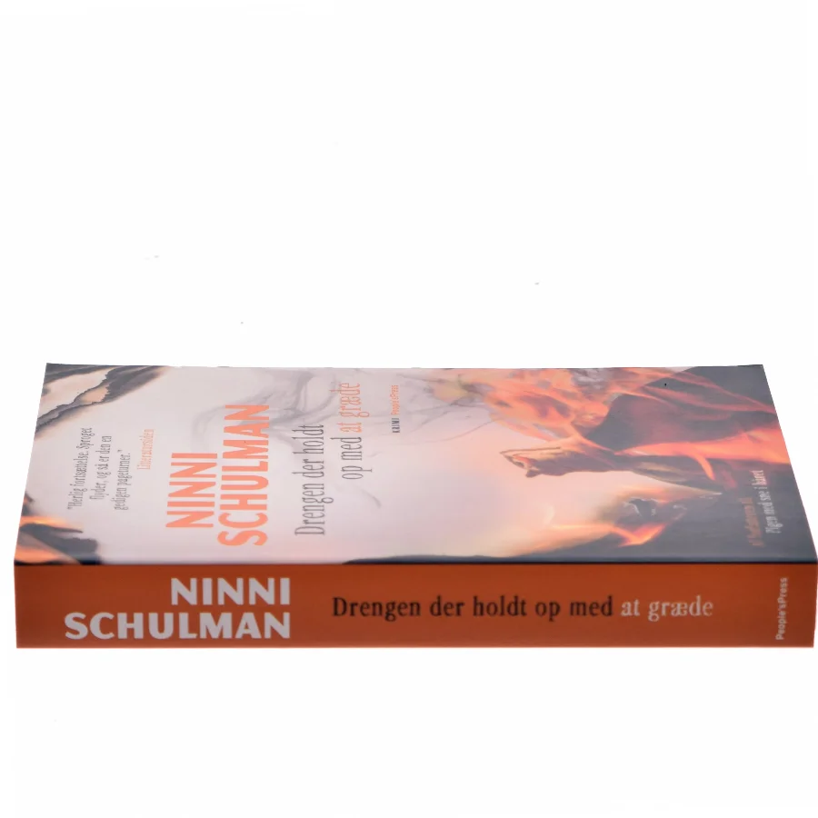 Drengen der holdt op med at græde : kriminalroman af Ninni Schulman (Bog)