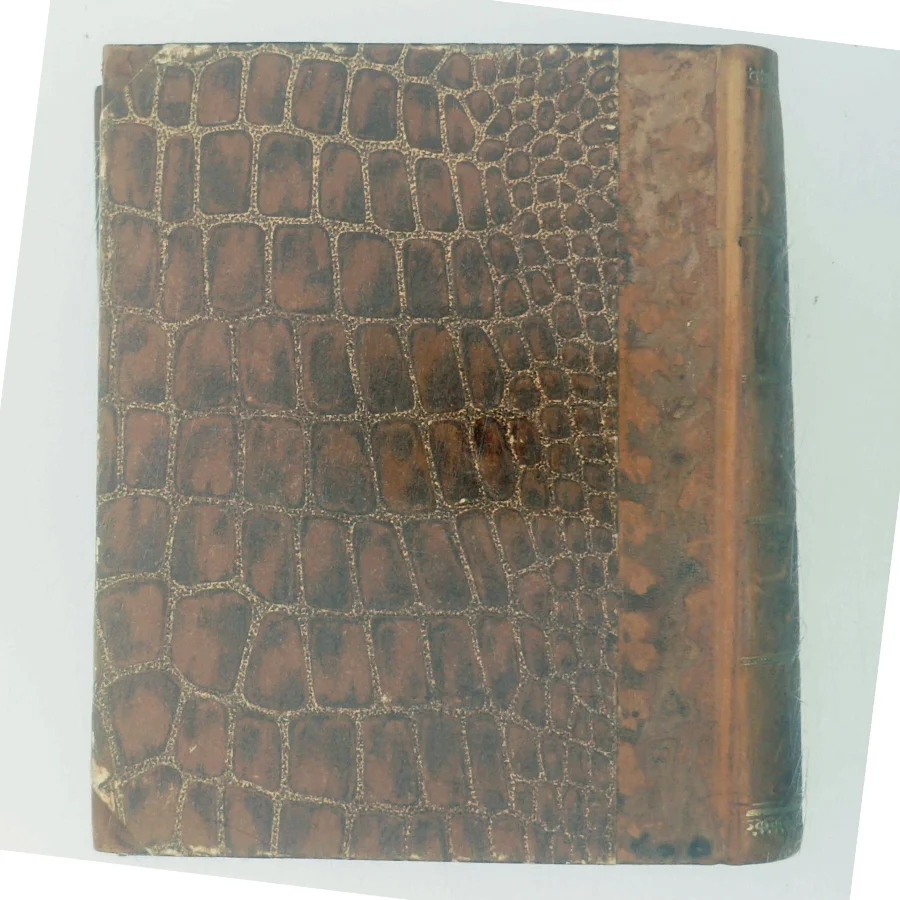 Kun en Spillemand af H. C. Andersen (Bog)