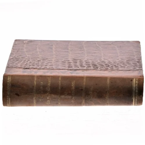 Kun en Spillemand af H. C. Andersen (Bog)