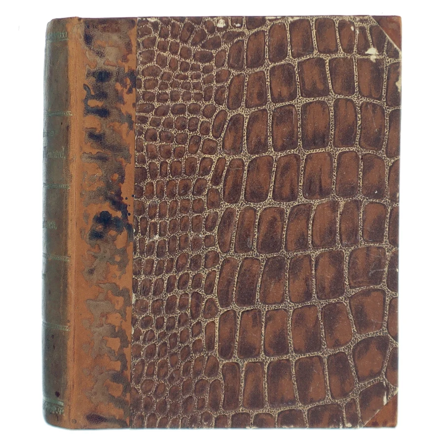 Kun en Spillemand af H. C. Andersen (Bog)