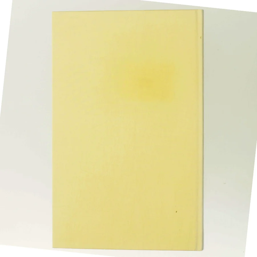 Ingenmandsland af Kirsten Thorup (Bog)