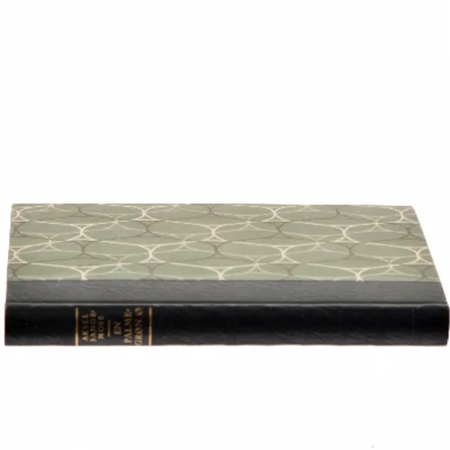 En palmegrøn ø af Aksel Sandemose (Bog)