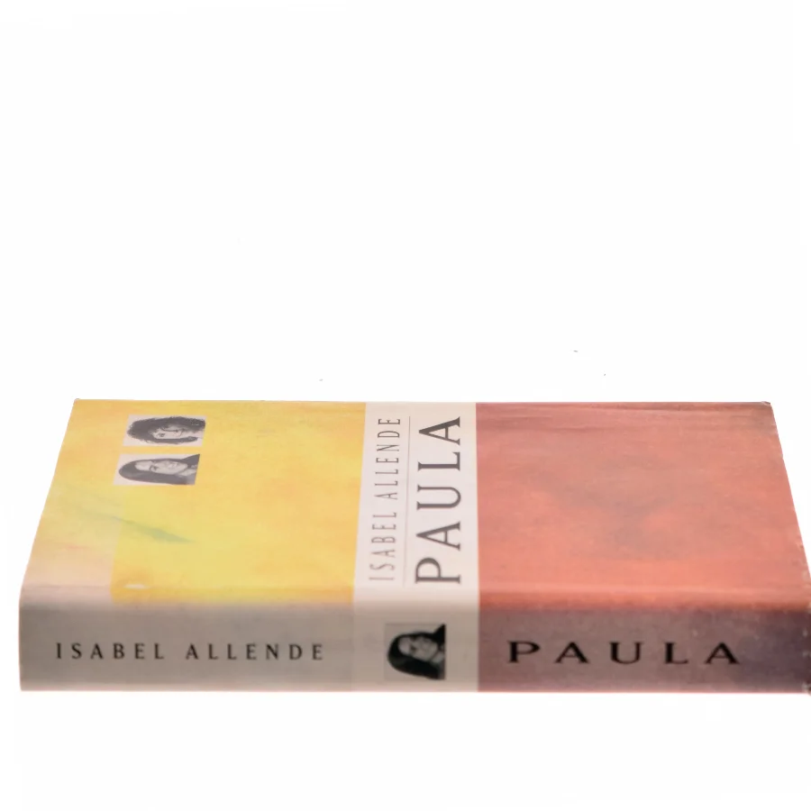 Paula af Isabel Allende (Bog)