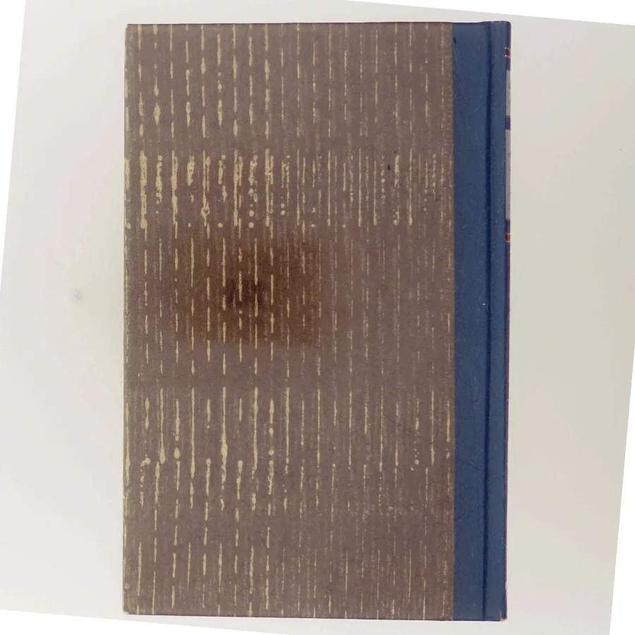 En Arktisk Safari og andre skrøner af Jørn Riel (Bog)