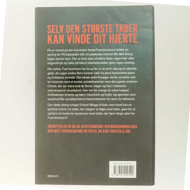 Eremitten af Thomas Rydahl (Bog)