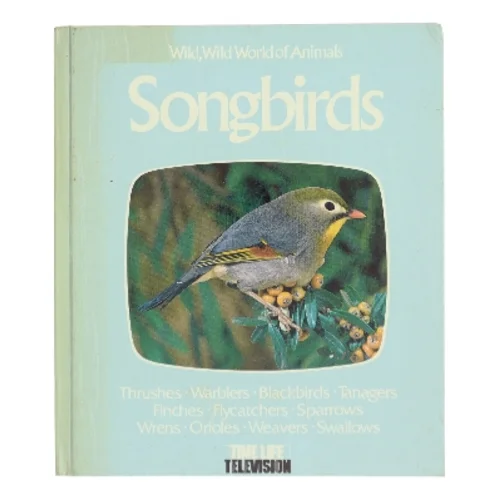 Songbirds (Bog)