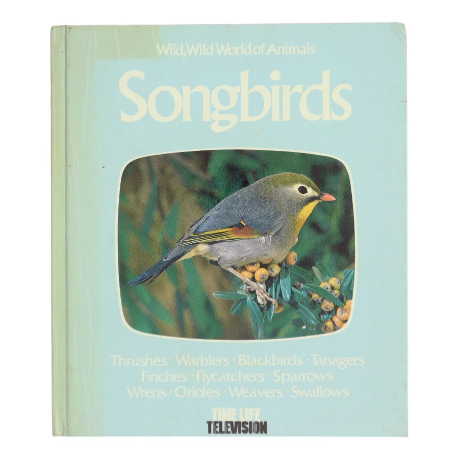 Songbirds (Bog)