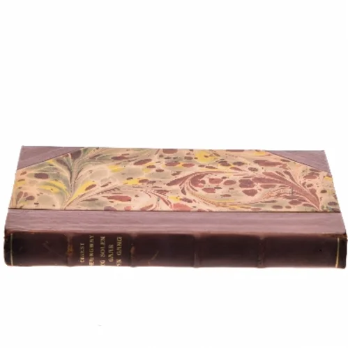 Og solen gaar sin gang af Ernest Hemingway (Bog)