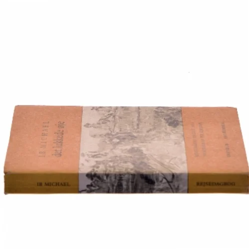 Det lukkede øje af Ib Michael (Bog)