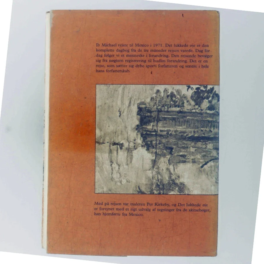 Det lukkede øje af Ib Michael (Bog)