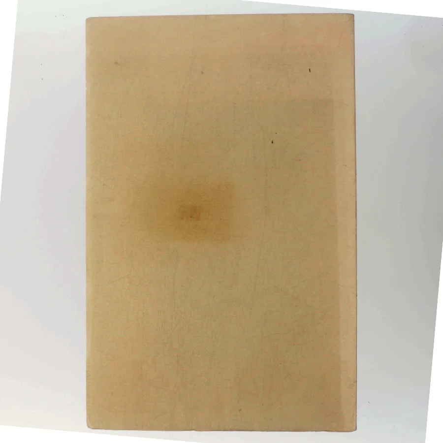 Kappen af Nikolai Gogol (Bog)