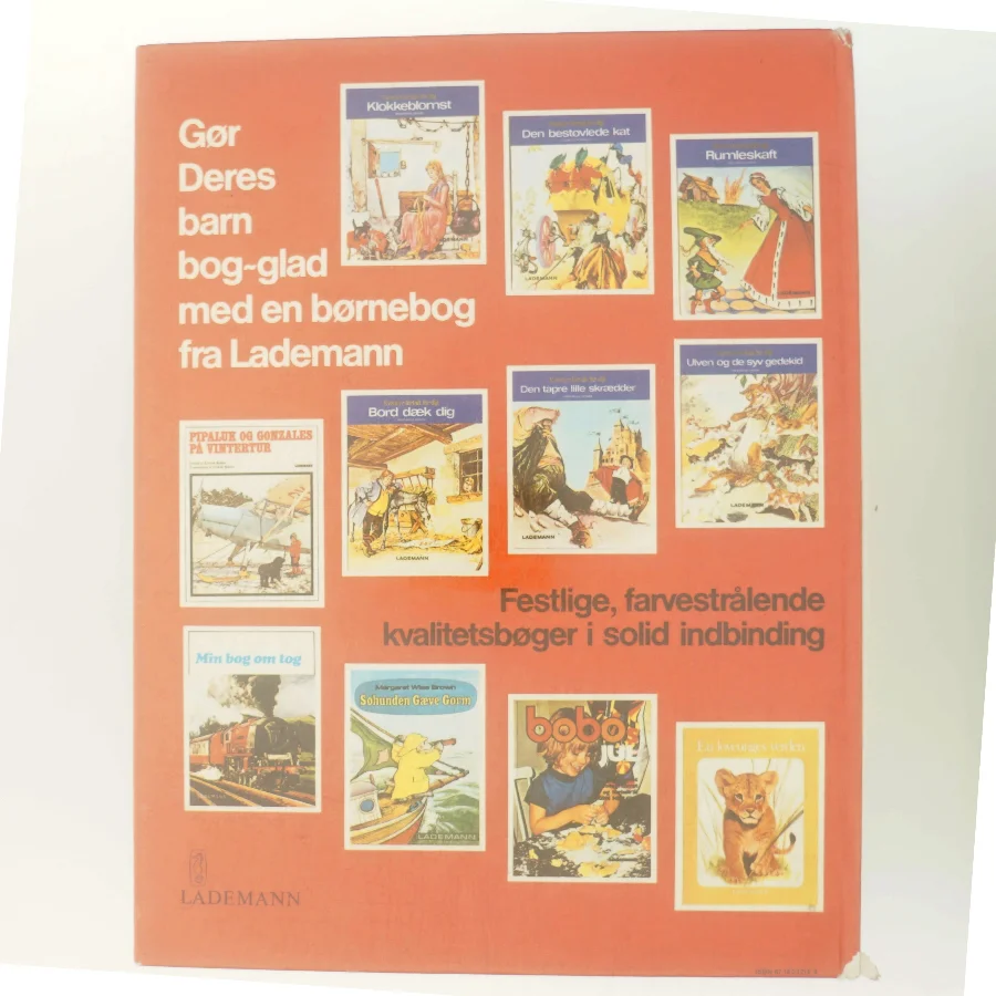 En bjørneunges verden af Ukendt (Bog)