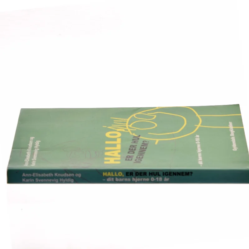 Hallo - er der hul igennem? : dit barns hjerne fra 0 til 18 år (Bog)