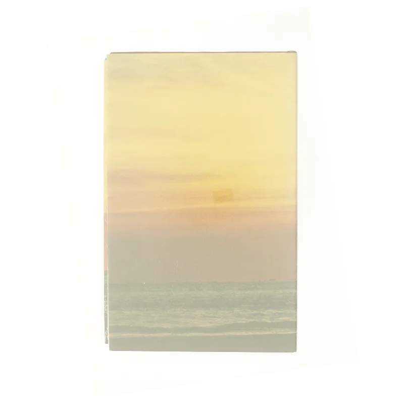 Palm Beach af Pat Booth