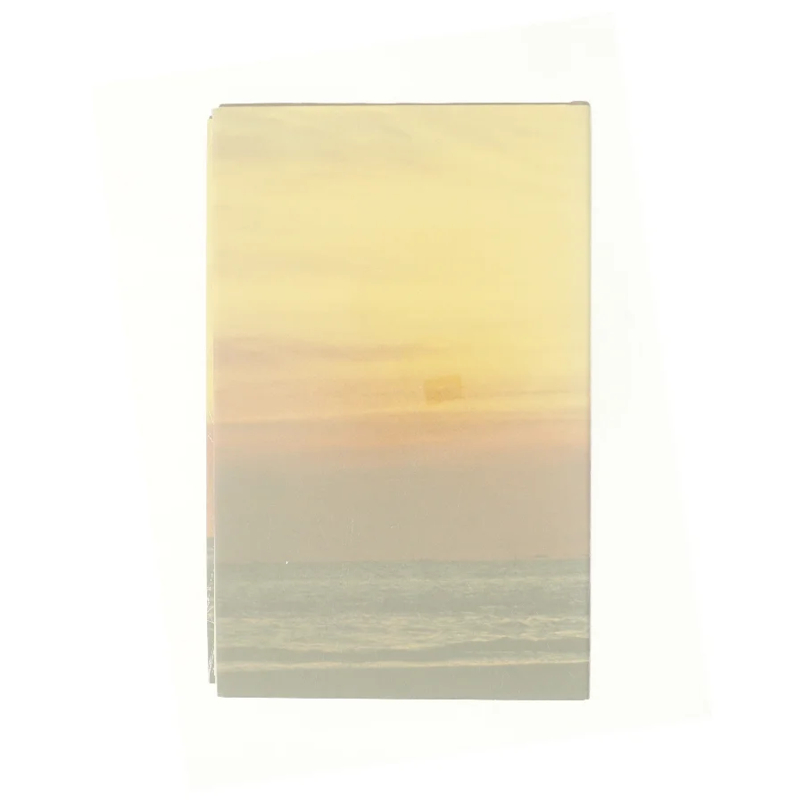 Palm Beach af Pat Booth