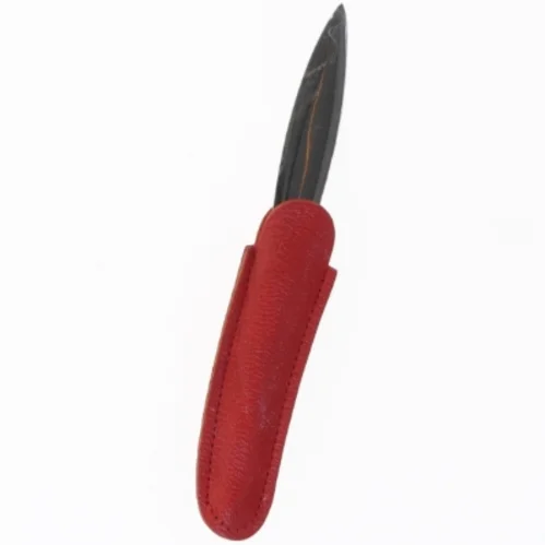 Kniv med rødt etui (str. 12,5 cm)