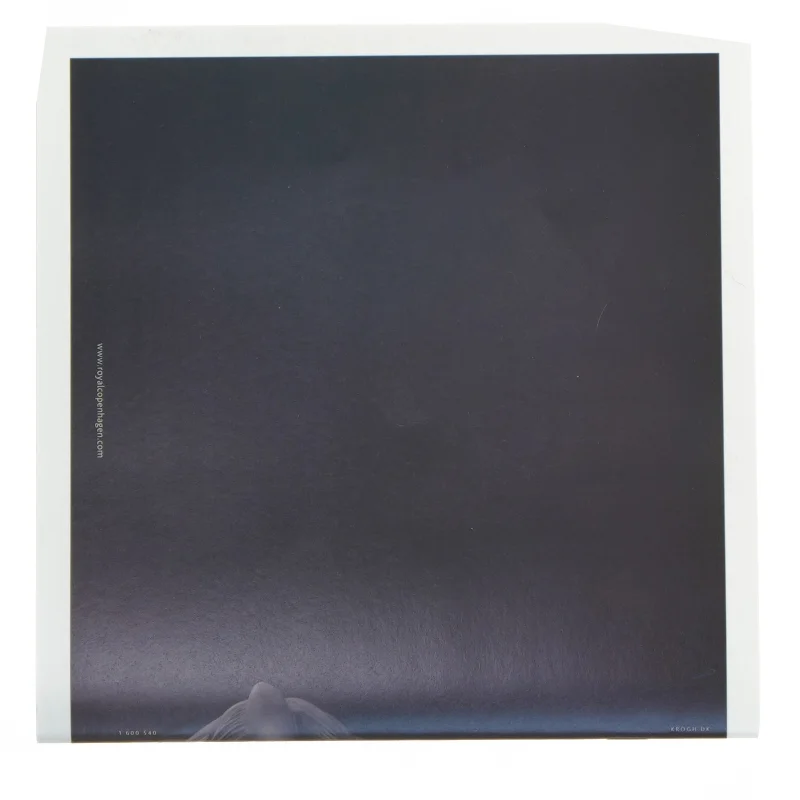 Pleje/vedligeholdelsessæt til Stjernetegnsfigur fra Royal Copenhagen (str. 21 x 21 cm)