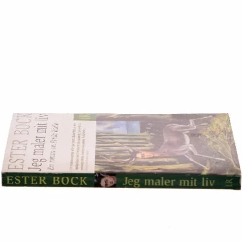 Jeg maler mit liv : en roman om Frida Kahlo af Ester Bock (Bog)