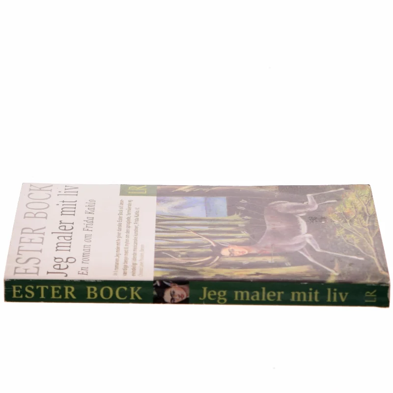 Jeg maler mit liv : en roman om Frida Kahlo af Ester Bock (Bog)