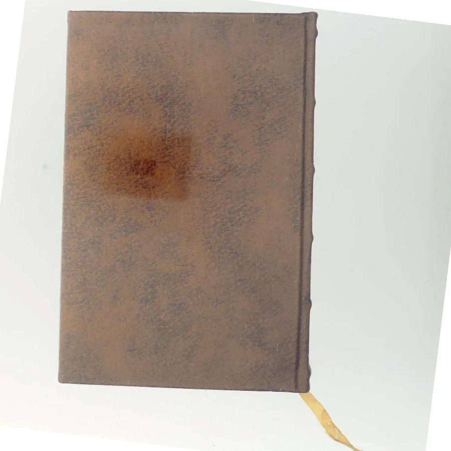 The Head-Hunters of Borneo af Bock (Bog)