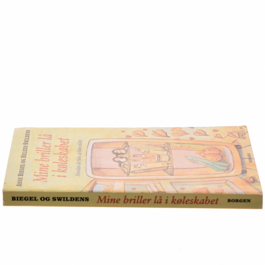 Mine briller lå i køleskabet (Bog)