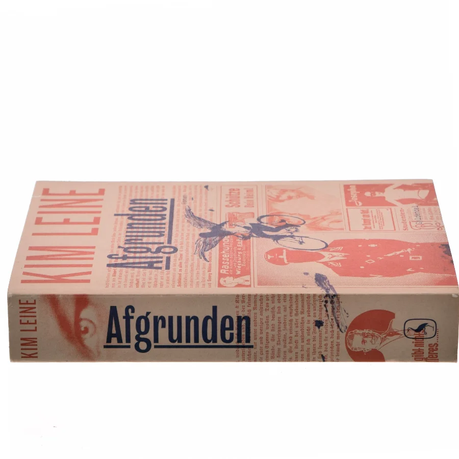 Afgrunden : roman Kim Leine, Bog